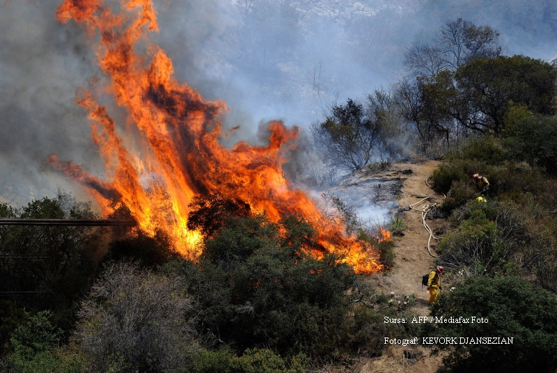 Incendiile din California si-au dublat suprafata intr-o singura noapte