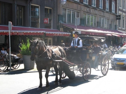 Incident bizar la Curtea Regala a Belgiei! Doua trasuri s-au ciocnit