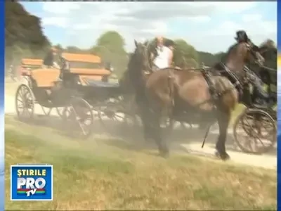 Accident bizar la curtea regala a Belgiei!