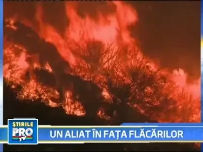 Lupta cu focul continua in L.A. Sezonul incendiilor nici macar nu a inceput