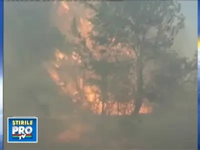 25 de hectare de vegetatie facute scrum, in Mehedinti!