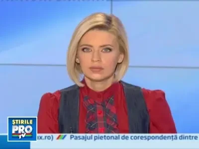 Invazie de furnici inaripate intr-o localitate din Prahova!