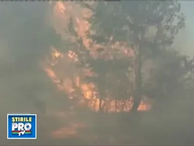 25 de hectare de vegetatie facute scrum, in Mehedinti!