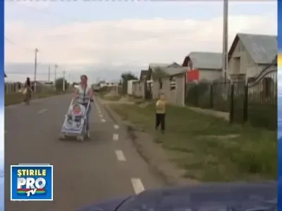 Invazie de furnici inaripate intr-o localitate din Prahova!