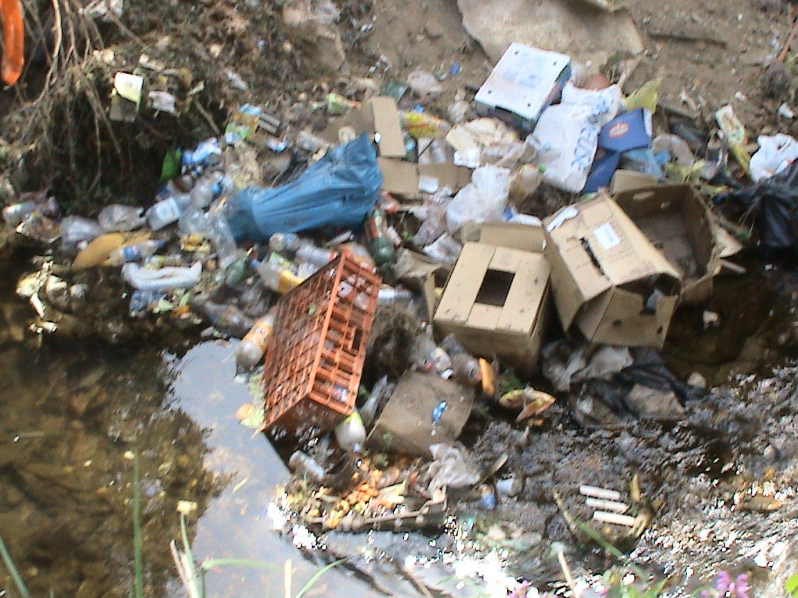 Muntii Dognecei plini de gunoaie! Turistii nu dau doi bani pe ecologie