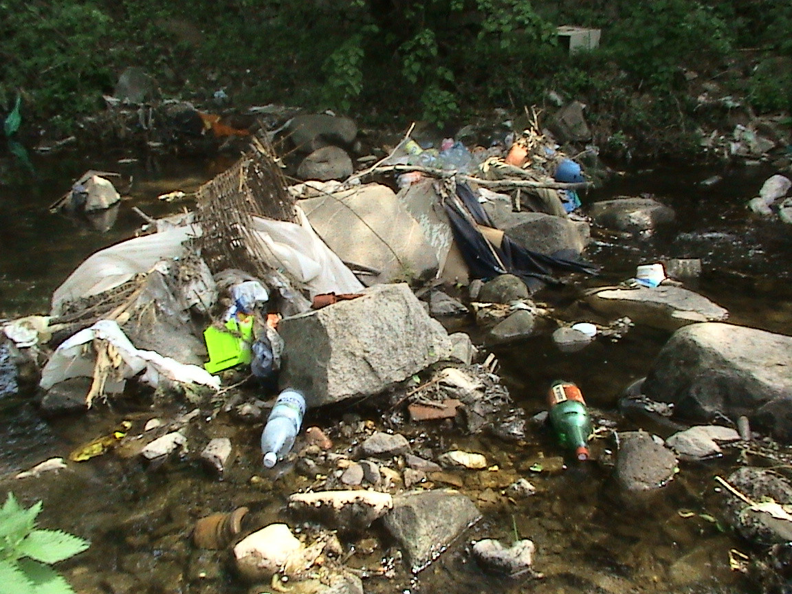 Nesimtire! Jumatate din pensiunile de la munte arunca gunoiul pe unde apuca