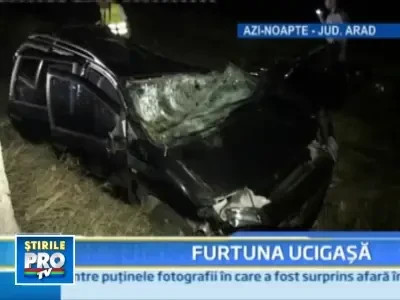 Un copac rupt de furtuna a omorat un sofer si a mutilat un alt barbat