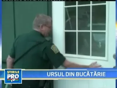 "Deschideti, politia!" Si le-a deschis un ... urs!