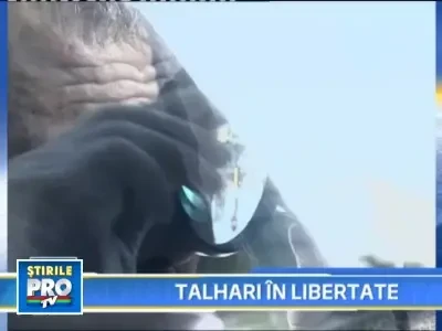 Au dat spargeri, dar sunt liberi! In Romania, legea este facuta pentru hoti