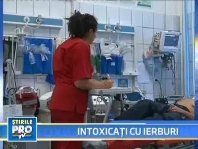 Fumatorii de "plante pentru relaxare" ajung la spital pe capete!