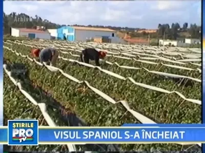 Spania nu ne mai vrea!La criza, pastreza locurile de munca pentru ai lor