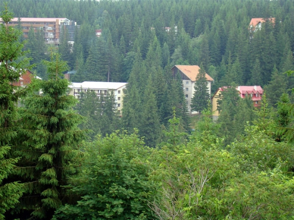 Paltinisul, cea mai veche statiune din tara