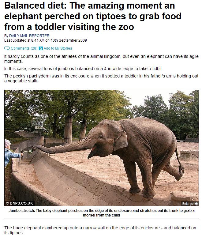 Un elefant gratios! Face echilibristica pe marginea unui sant!