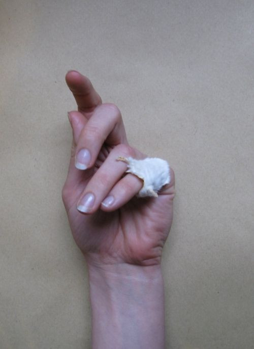 Accesorii grotesti! Soareci impaiati, pe post de cordeluta si cercei!