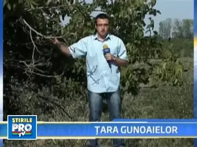 10% dintre romani nu au unde sa arunce gunoiul!