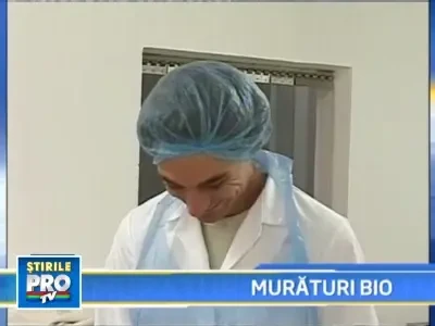 Legumele bio, in stare naturala sau in conserve, o afacere profitabila!