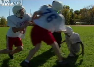 Culmea sportului: sa joci fotbal cu mainile!