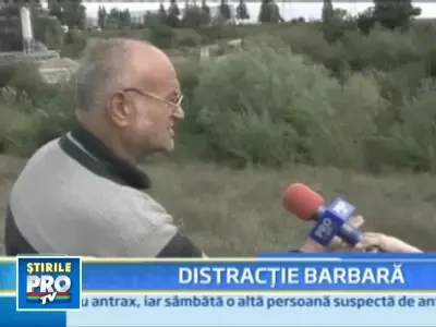 CUTREMURATOR! Caine impuscat cu cruzime, in fata stapanului!