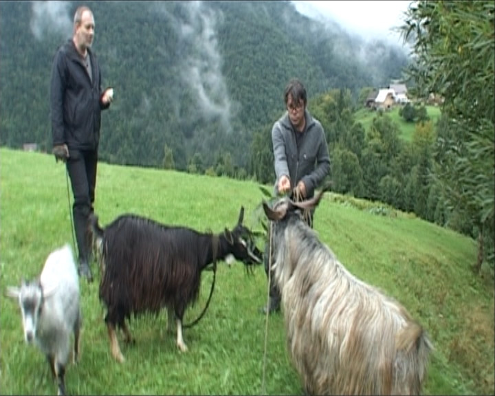 Cristi Iacob va manca iarba uscata la “Serviti, va rog!”