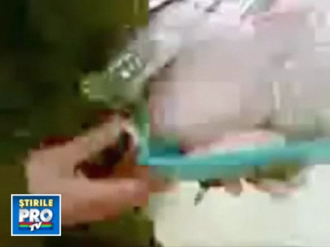 Razbunarea fostului angajat: linge puiul si-l pune la loc in raft! VIDEO