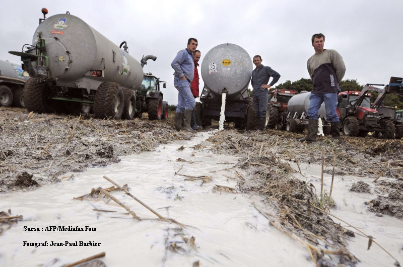 3 milioane de litri de lapte, varsate pe camp de fermierii belgieni!