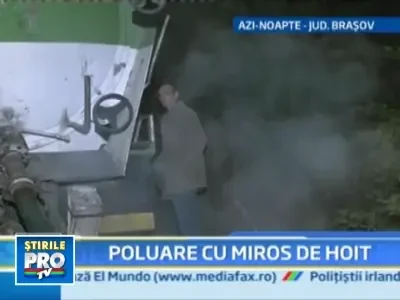 Substanta pestilentiala aruncata intr-un parau care se varsa in Olt!