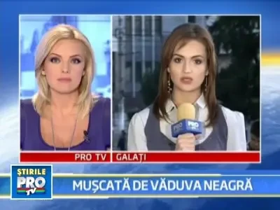 A muscat-o "Vaduva Neagra", cand culegea struguri. A ajuns la reanimare!