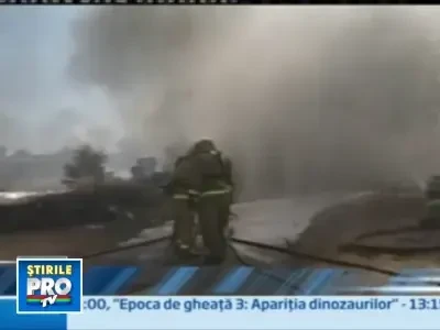 Incendiile de vegetatie fac ravagii in California