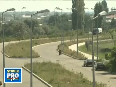 Problema traficului in Bucuresti: multe solutii puse prost in practica!