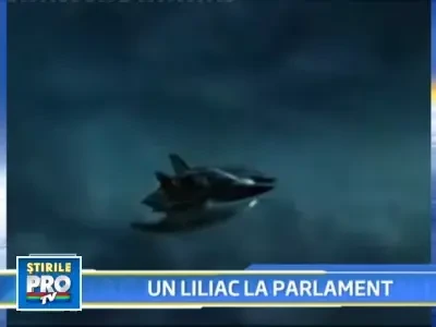 Linistea parlamentarilor din Casa Poporului, deranjata de un liliac!