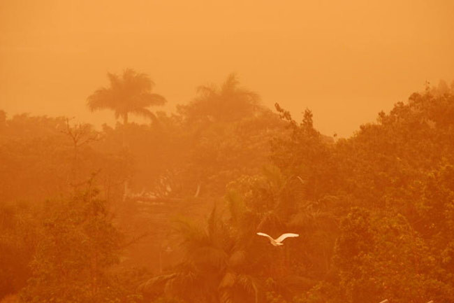URGIE in China! S-a intunecat cerul din cauza unei furtuni de nisip!