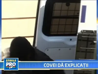 Iustin Covei i-a infruntat pe judecatori cu zambetul pe buze!