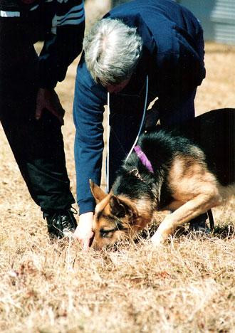 Nou experiment judiciar in cazul unei fetite disparute acum cinci ani