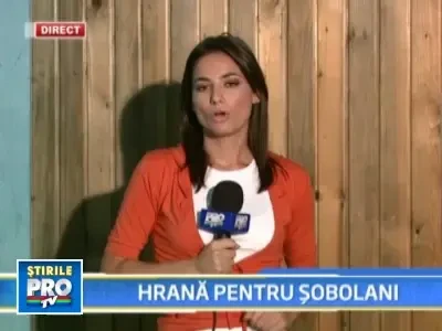 1356 de kg de faina din ajutoare au ajuns la sobolanii din Popesti-Leordeni