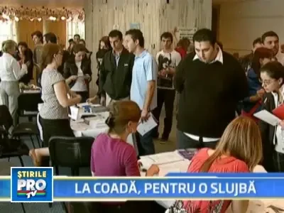 Bursa Locurilor de Munca: somerii aproape ca au implorat sa fie angajati!