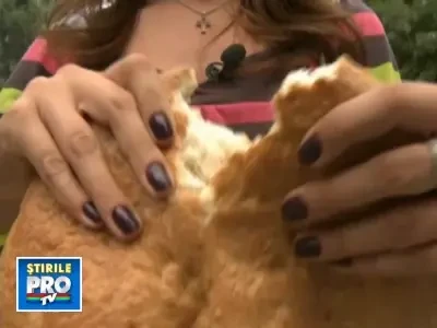 Bucurestenii sunt asteptati cu paine rumena de gospodinele din toata tara