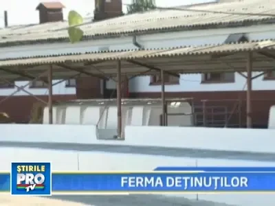 Inchisorile pot deveni afaceri profitabile. Vezi aici cum!