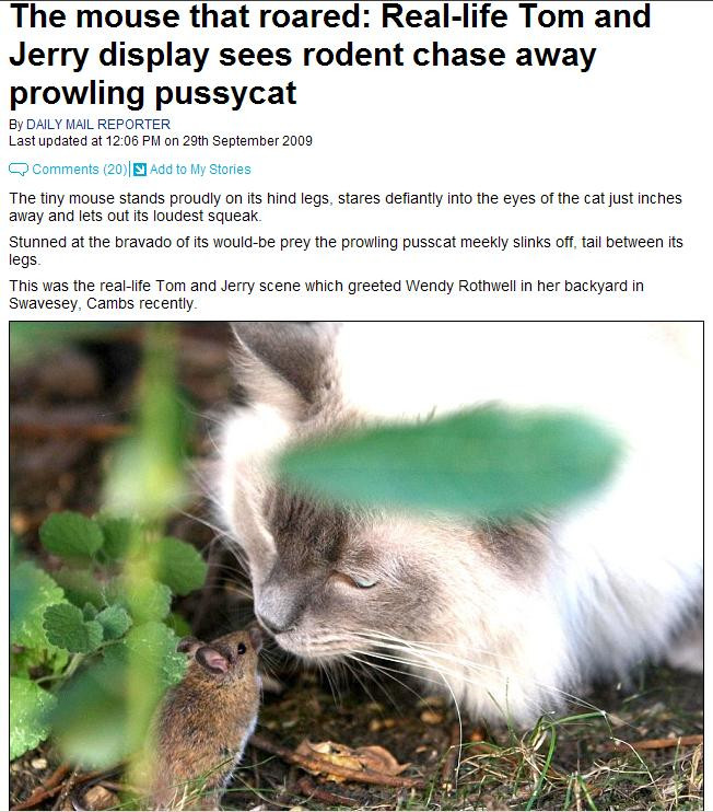 El e soricelul care a invins pisica!