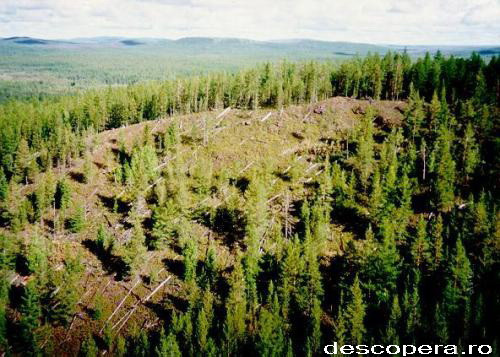 "Cimitirul Diavolului". Morti inexplicabile, intr-un loc sinistru