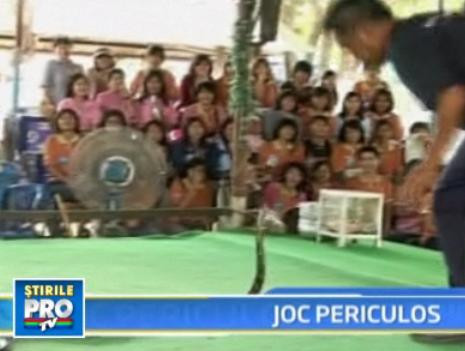 Box cu cei mai veninosi serpi din lume! Te-ai baga?