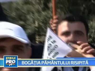 Protest disperat al agricultorilor in fata Guvernului Romaniei