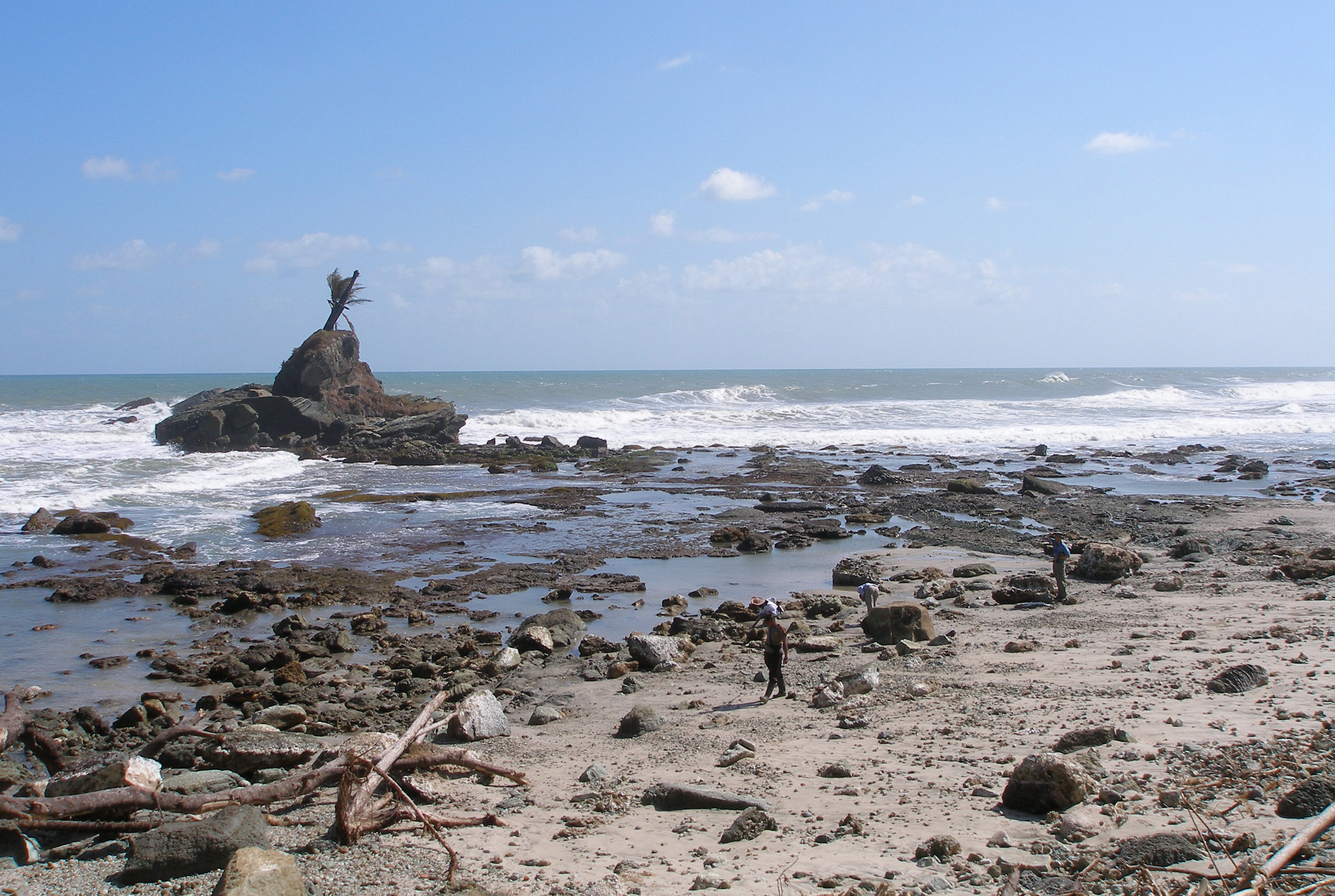 Alerta de tsunami in Japonia, dupa un cutremur cu magnitudinea de 6,3