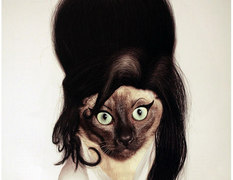 Cum ar arata vedetele ca animale de companie?!