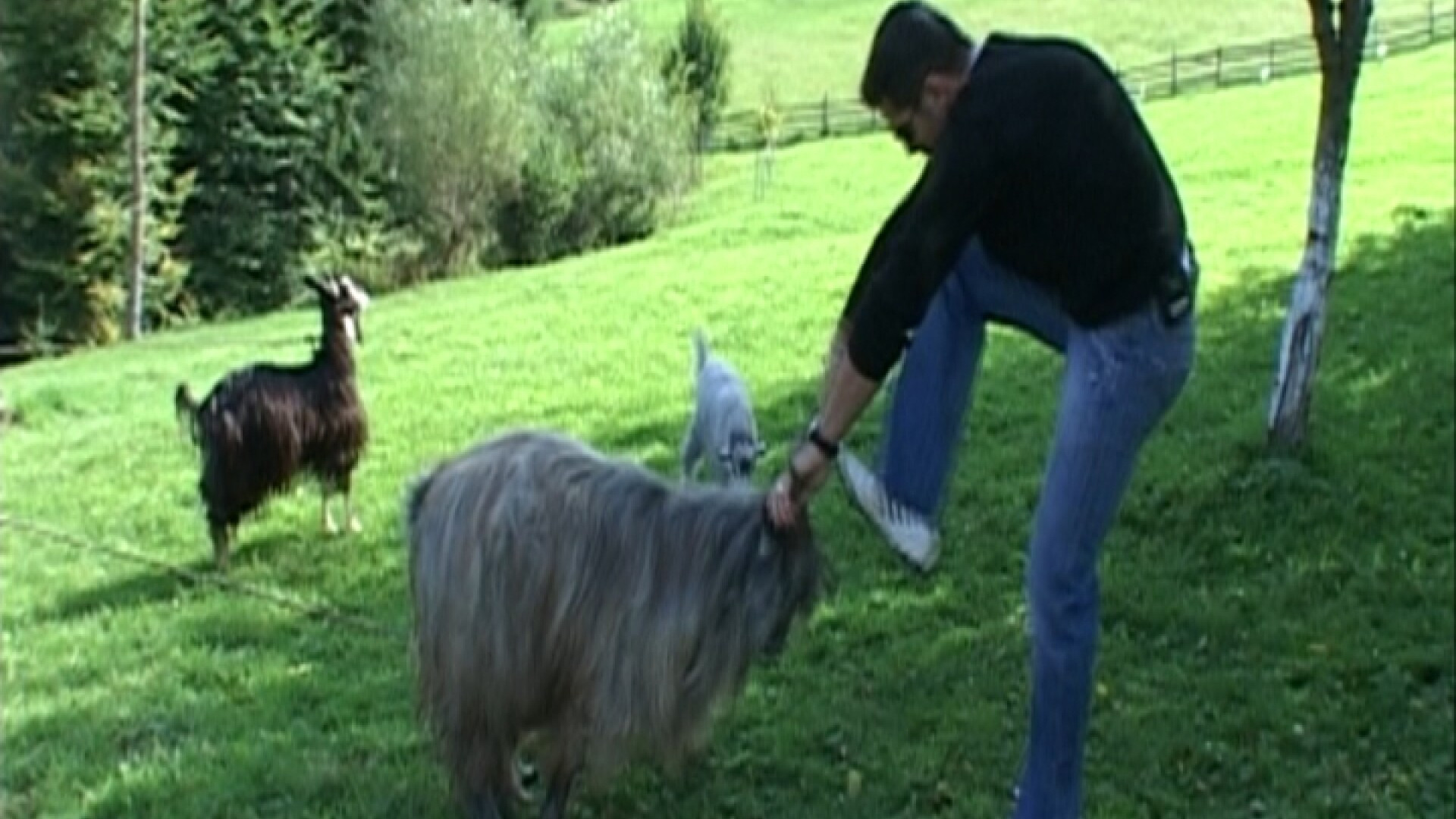 Magda Palimariu si Tania Budi, la ultima editie "Serviti, va rog!"