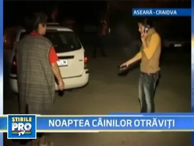 Masacru al cainilor vagabonzi la Craiova!