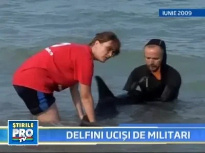 Braconierii si poluarea ucid delfinii! Sonarele si bombele armatei!