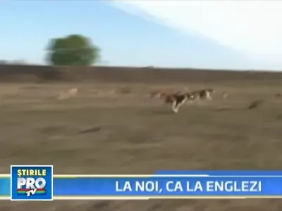 Vanatoare traditionala englezeasca, organizata in premiera in Romania