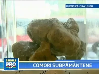 Romania, te iubesc: In culisele unei afaceri neobisnuite-comertul cu trufe