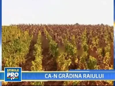 Sexy si dezbracati! Atentioneaza asupra schimbarilor climatice!