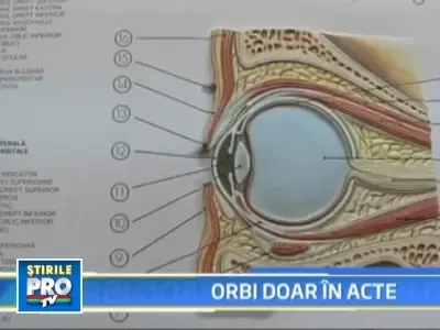 Intr-o localitate din Timis, un om din zece are certificat de handicapat